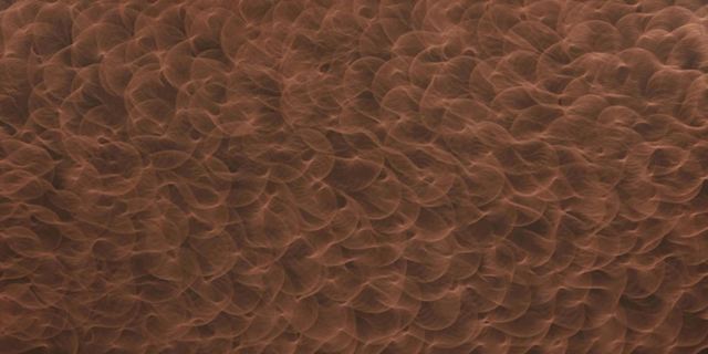 Ảnh mẫu LAMINATE LF D8025 Copper Crush của An Cường