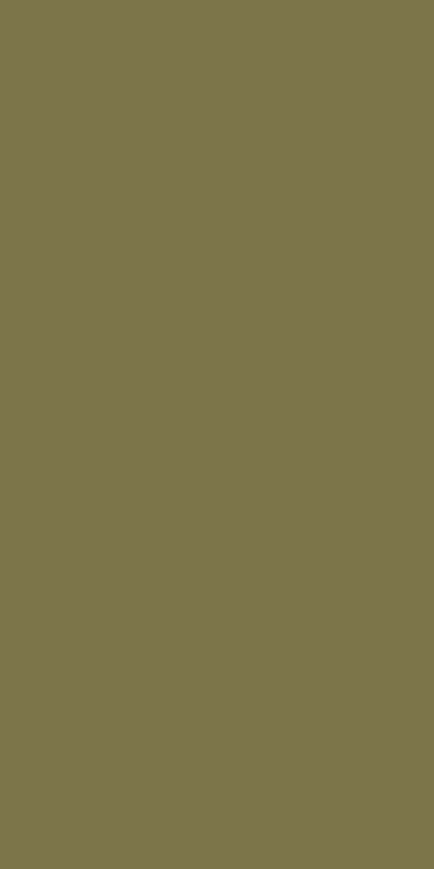 Ảnh mẫu S6 10241MM Olive de Provence của KES